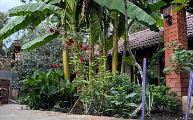 Aimara Hotel