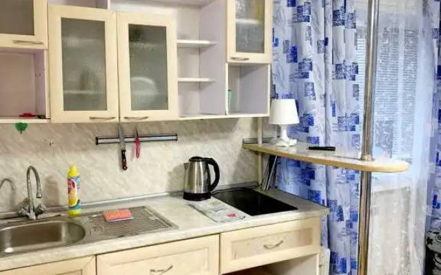 Апартаменты на Карла Маркса 108-1