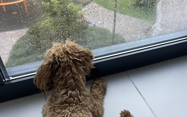 Апартаменты на Финском заливе