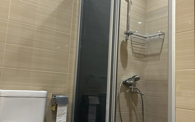 Апартаменты Apartment with marvelous view abanotubani