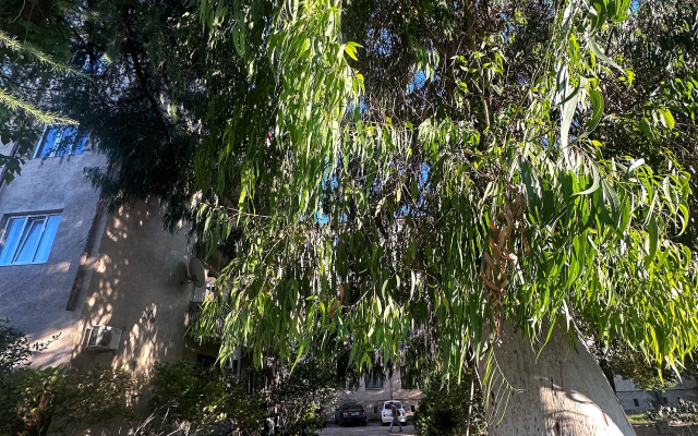 S Vidom na More Flat