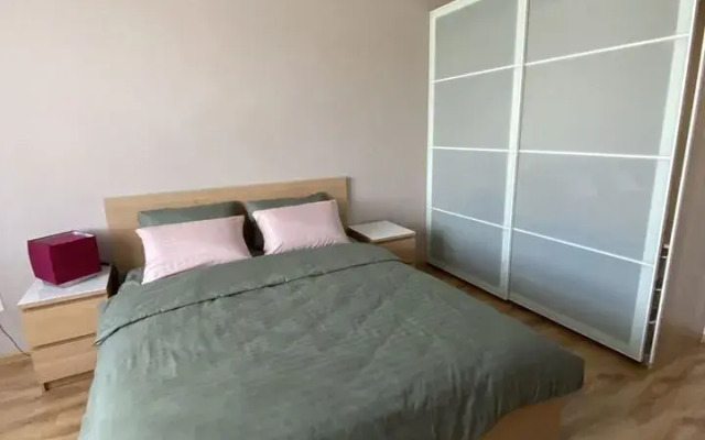 Квартира Трехкомнатная на Бориса Домашникова 22