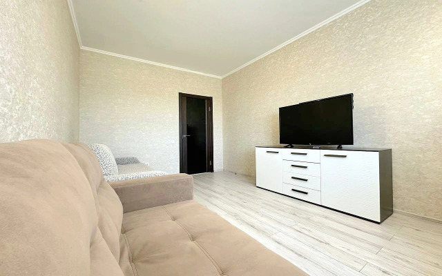 Dvukhkomnatnaya s balkonom na Pritomskom Flat