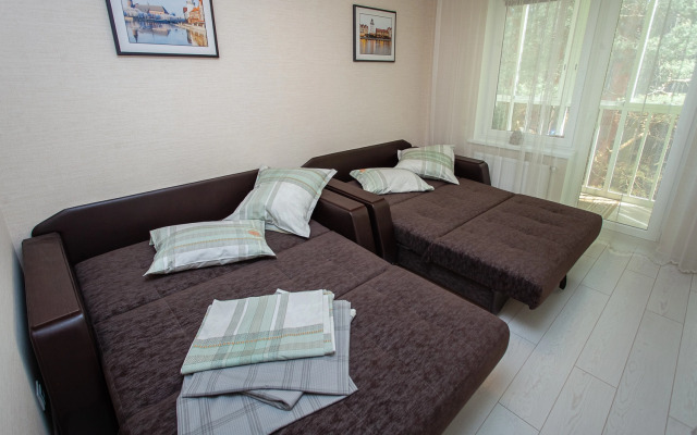 S Vidom Na Sosnovy Les Flat