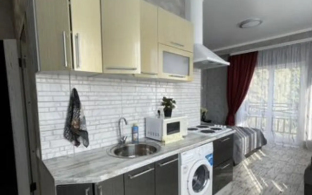 Studiya V Tsentre Adlera Flat