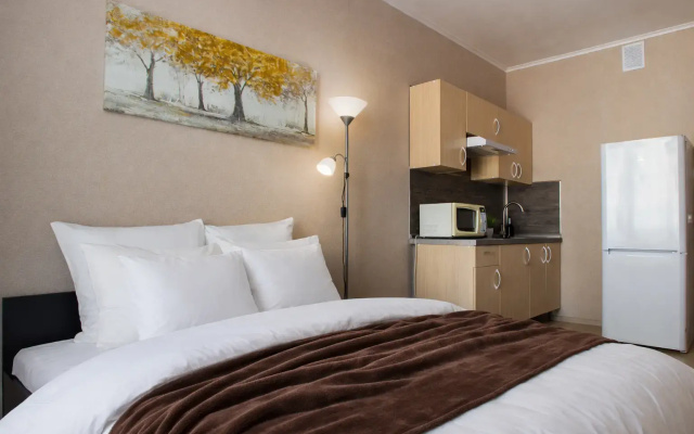 Апартаменты Студия Natalie Apartments Пулковское шоссе 14 Е (16)