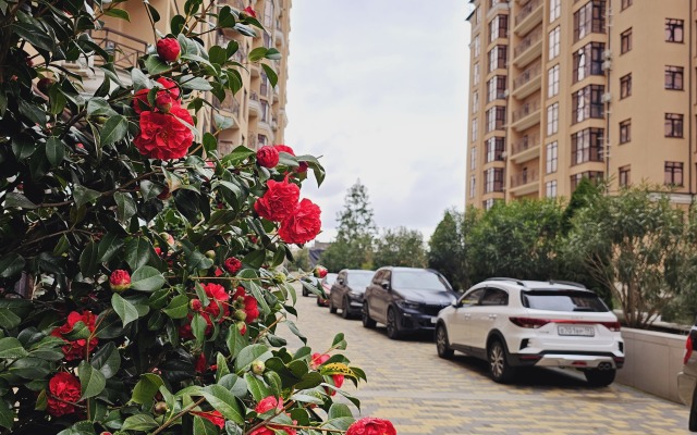 Апартаменты SochiHome Новая Заря