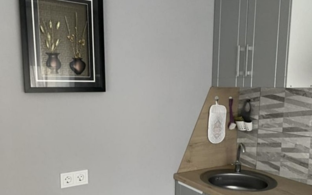 Kvartira v tsentre goroda Flat