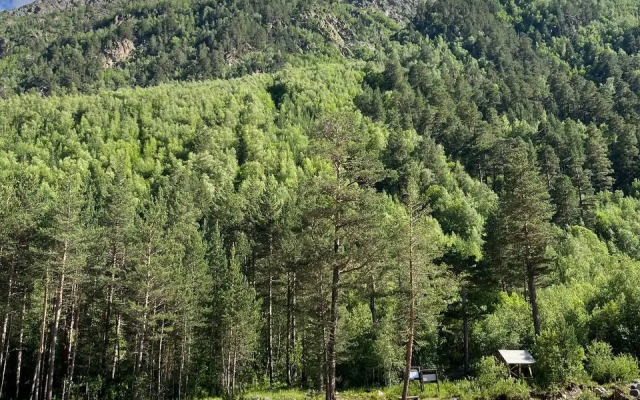 Alatau Guest House