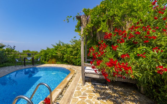 Mandarin & Mango Boutique Hotel
