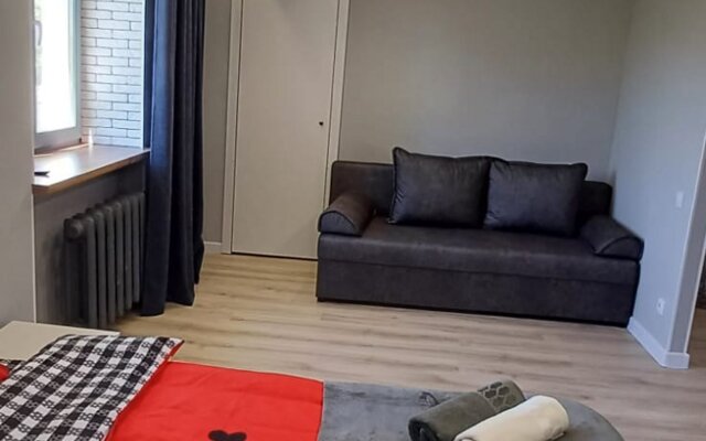 Rich House na Chapaeva 23 Flat