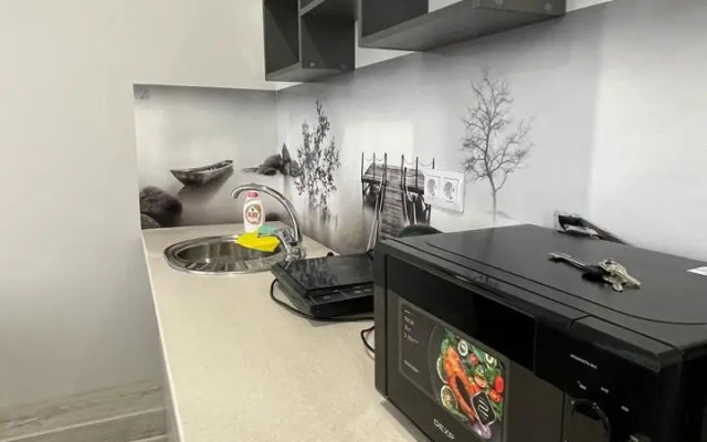 Апартаменты Четырехместная студия в Сириусе