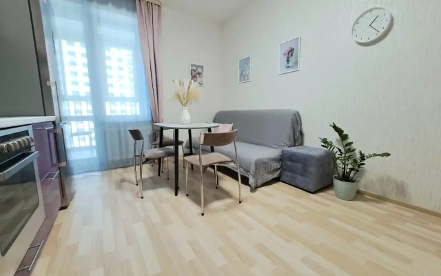 V Tsentre Goroda Flat