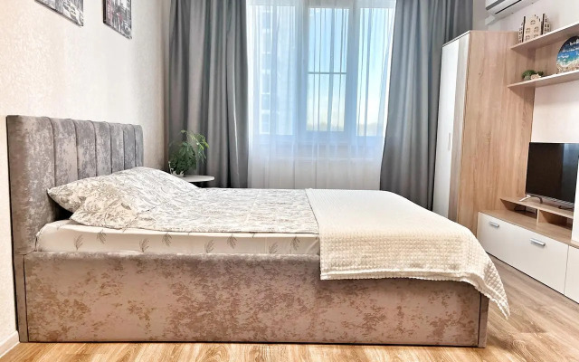 Квартира Елена Озерки