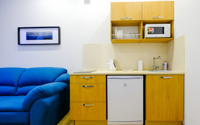 Апартаменты Петровские на Советской 90 (5)