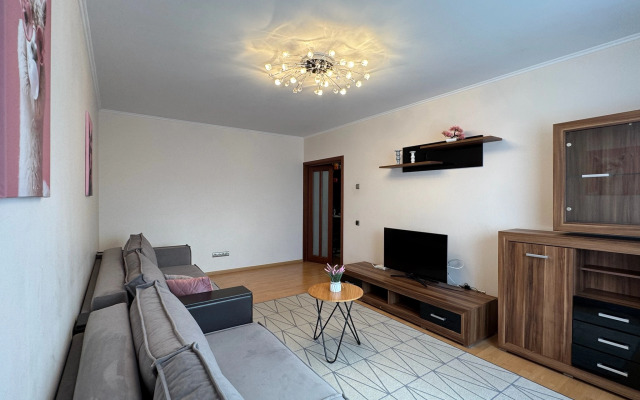 Pereulok Dzerzhinskogo 10 Apartments