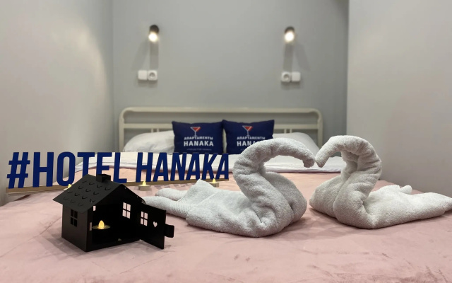 Апартаменты Hanaka на Автозаводской 17 корпус 1 №26