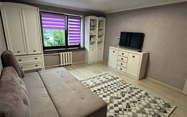 Vozle Brestskoy Kreposti V Tsentre Flat