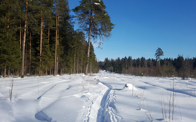Гостевой дом Гостевой домик "Бунгало"