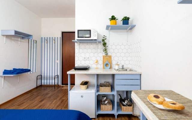 Pushkinskiy Flat 2