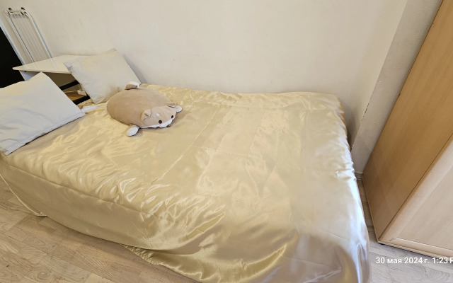 Квартира Качественный Бюджетный Вариант у Метро Комендантский Проспект