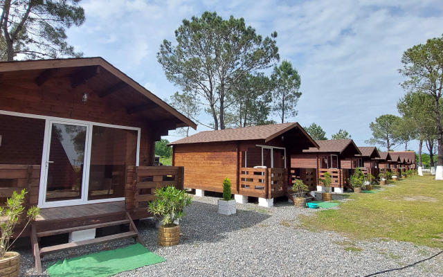 Sosnovy Bor Resort