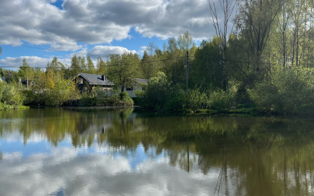 Частный дом Aurora Домик у пруда