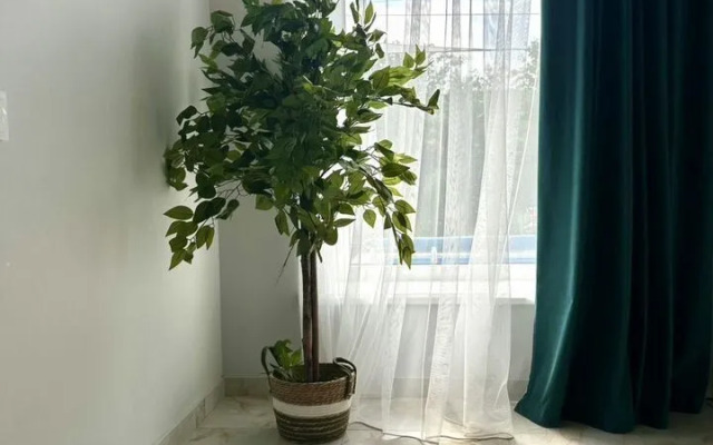 Частный дом на Лебединой