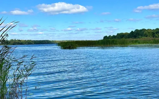 Глэмпинг Стрелка