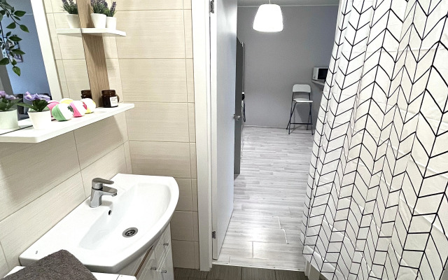 Апартаменты Capital Apartment