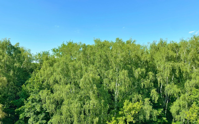 Апартаменты Wow Apart в Кусково