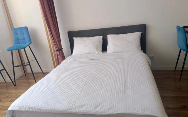 Studiya na Lenina 202k1 Flat