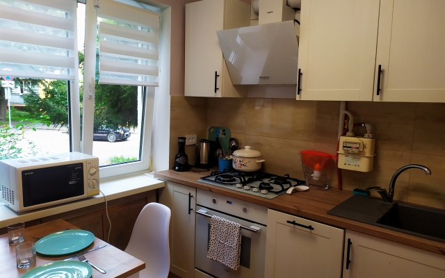 Centr Repina Street Flat
