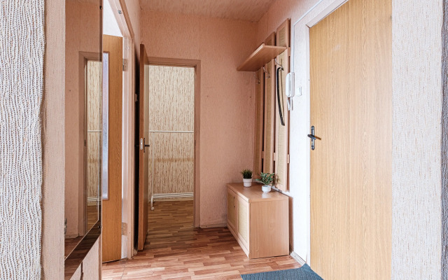 Odnokomnatnaya Komfortnaya Flat