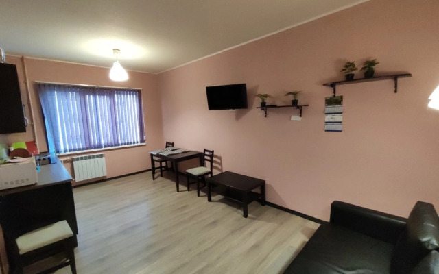 Апартаменты Однушки на Олимпийской 89