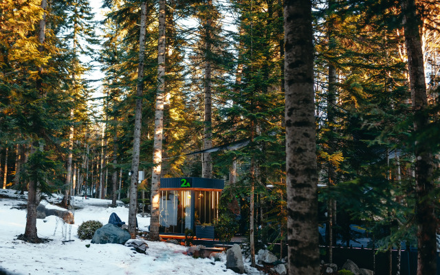 Magic Forest Glamping