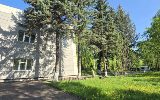 Biznes Pushkin Hotel