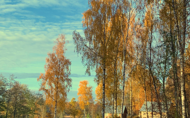 Бунгало Изба на Опушке. Хутор Пралище