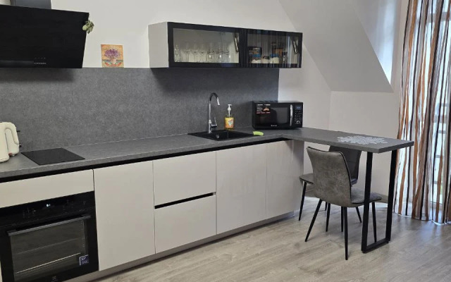 Dvukhyarusnaya kvartira Turgeneva 9A Flat