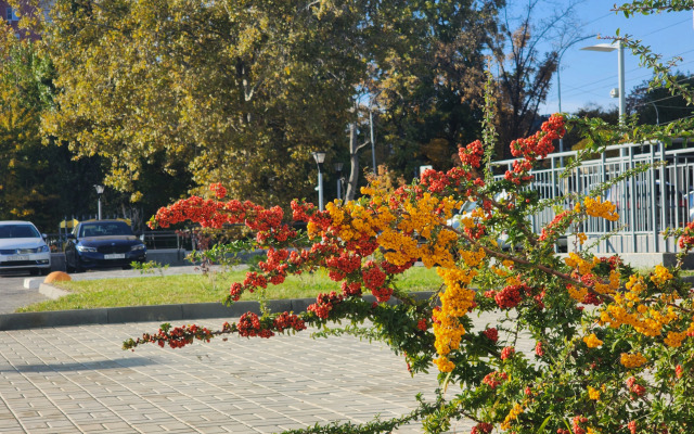 Квартира Дизайнерская квартира с видом на озеро
