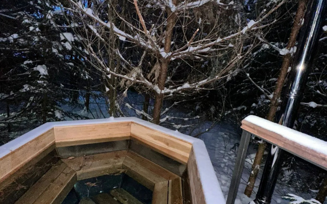 Частный дом для Большой Компании