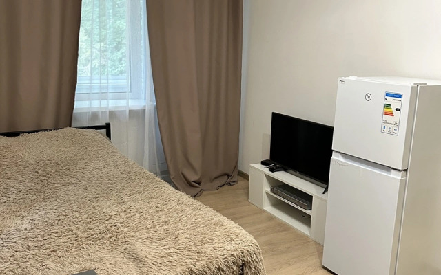 1-Komnatnaya V Tsentre Goroda Flat