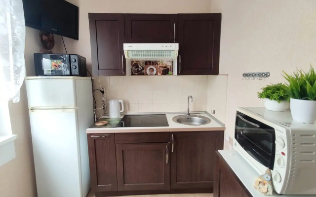 Квартира Комфортная на Болотниковской 36/6