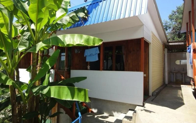 Yuzhnaya Palmira Guest house