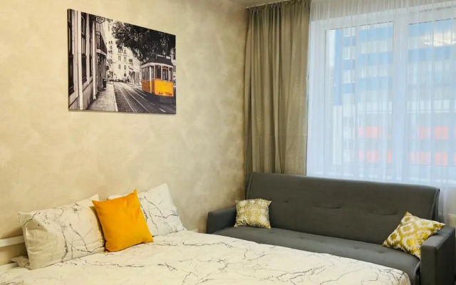 Studiya S Vidom Na Lakhtu Flat