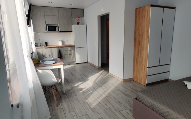 Uyutnaya Studiya U Parka Flat