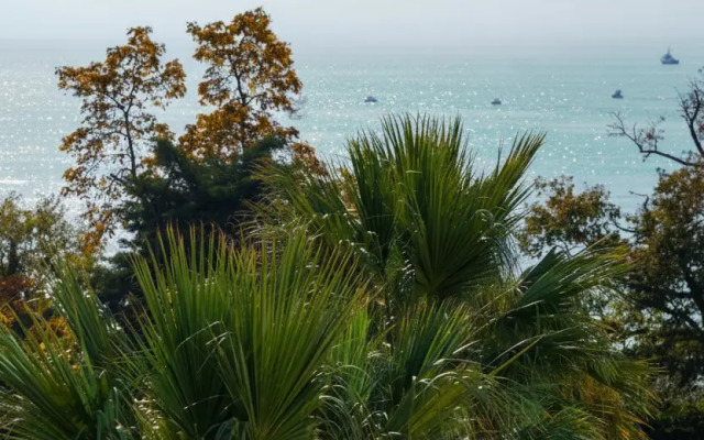 Dizaynerskie Matisse Apart s vydelennoy zonoy spalni Apartments