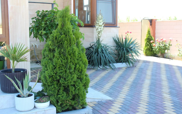 Angelina Guest House