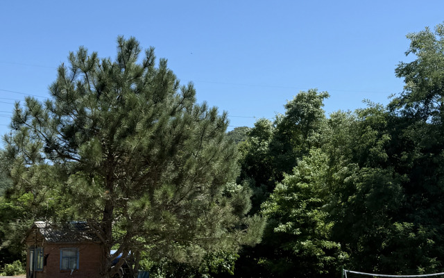 Rosinka Guest house