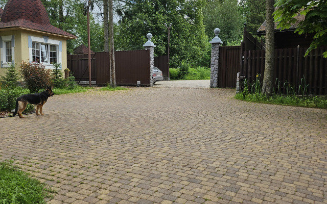 Частный Дом в Лесу